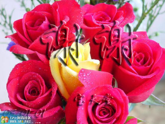 网友分享在meiguo.com的图片