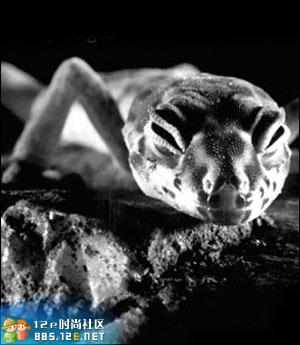 02.jpg - 文件大小19.1KB