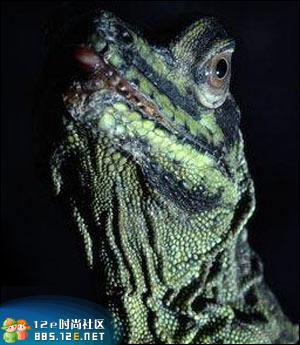 03.jpg - 文件大小23.2KB