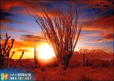 04.jpg - 文件大小23.2KB