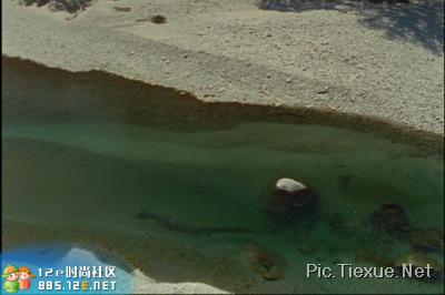 网友分享在meiguo.com的图片