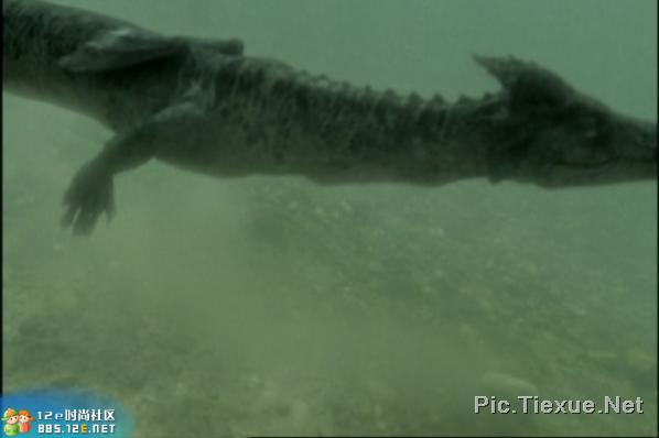 03.jpg - 文件大小16.8KB